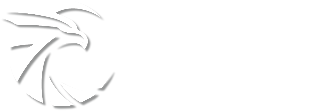 Eagle Eye Accounting Logo
